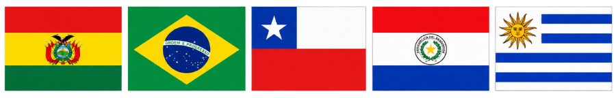 banderas reg